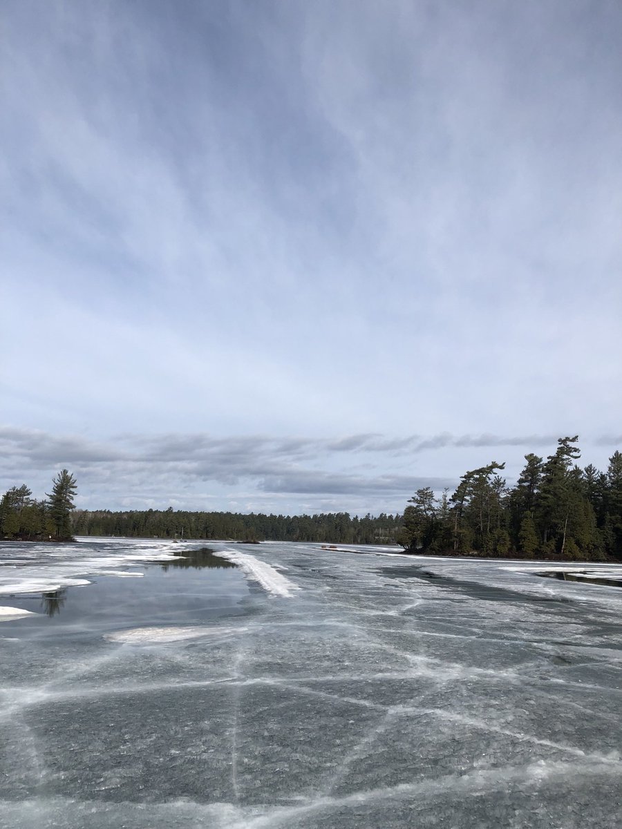 Shelly MooreFrappier tweet media