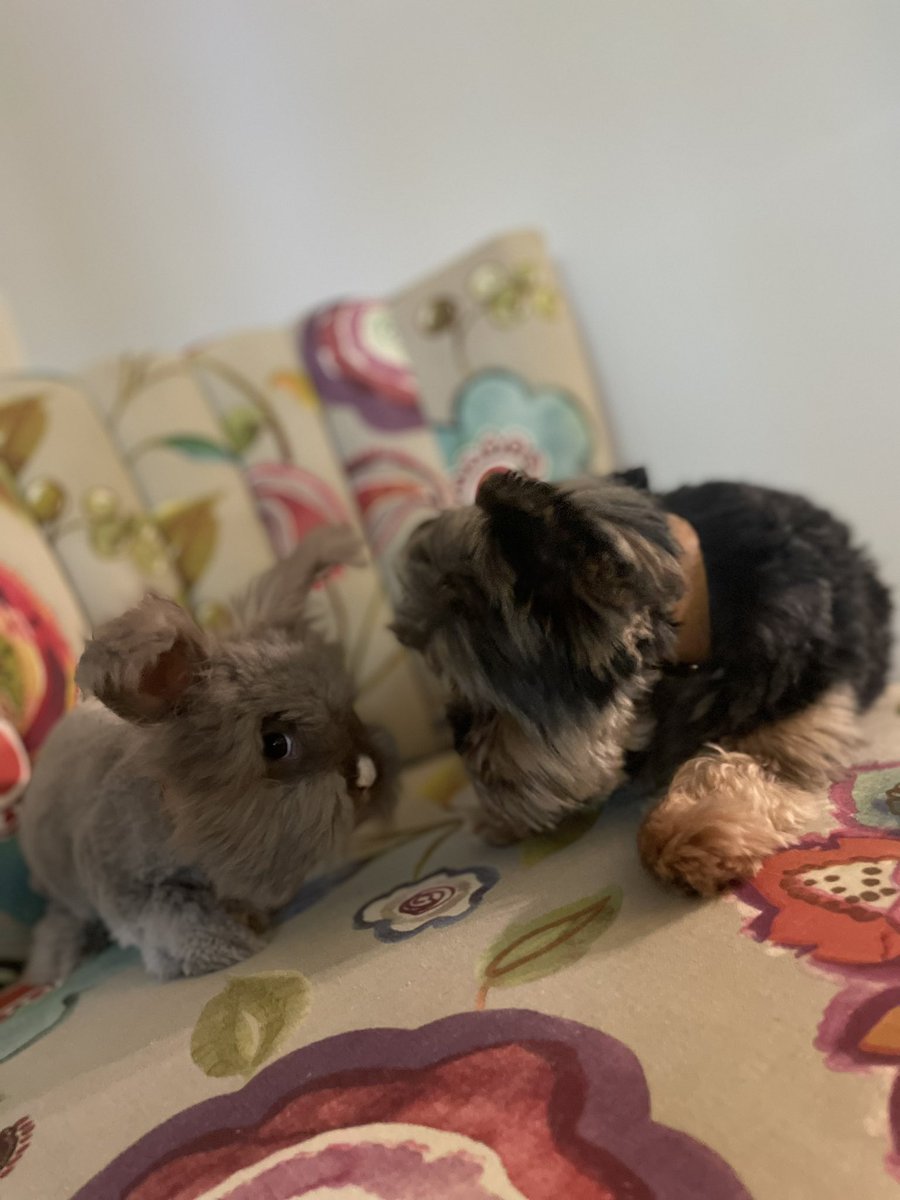 Hey fwands, how’s it going?! ♥️