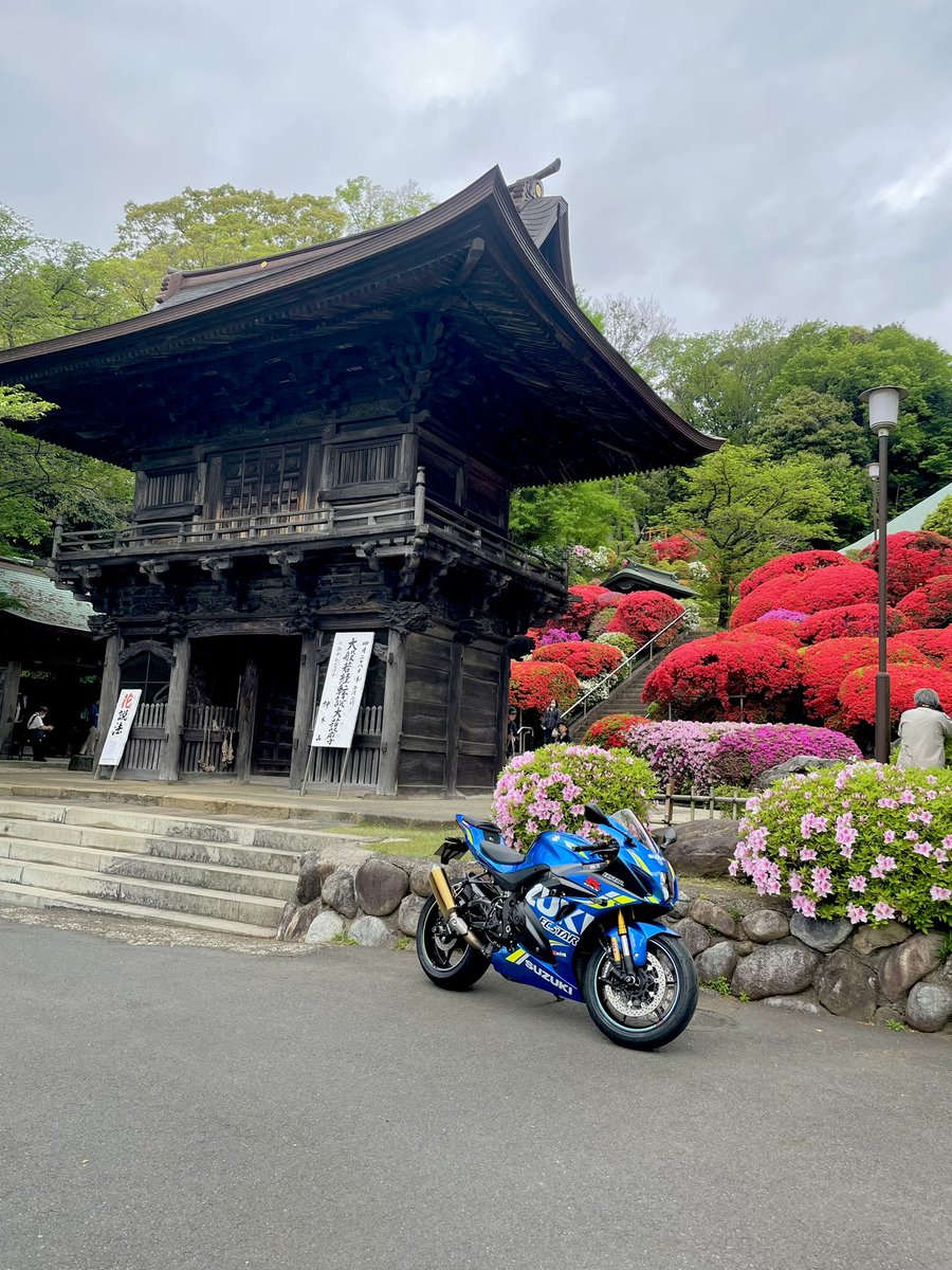 ki9bou's tweet photo. つつじ寺とGSXR1000R https://t.co/tCNLcsiGrO