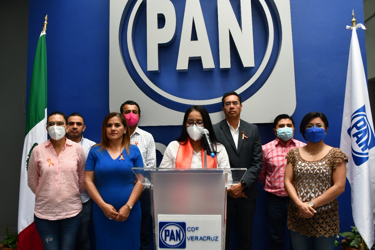 CDE PAN VERACRUZ tweet media