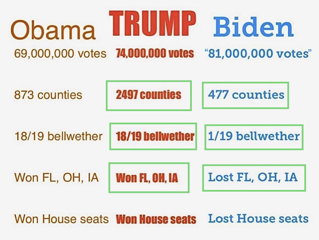 RiggsBTC's tweet photo. @michaeljknowles Here are just some of the stats. 

Violations of mathematics and the rule of law = Rigged. https://t.co/wyHjiBHHn1