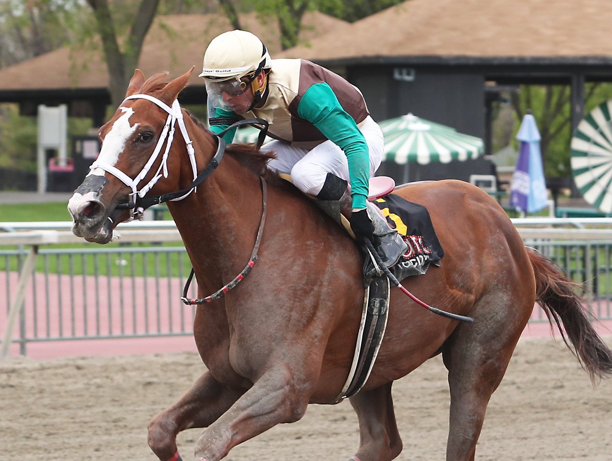 Shooting Star Stable’s #PABred Cinnabunny wins today’s Unique Bella S @letsgoracingpa. Trained by Cal Lynch, owned by Runnymoore Racing LLC, ridden to victory by Jorge Ruiz. PC: Nikki Sherman/EQUI-PHOTO https://t.co/hpS5VjoNQP