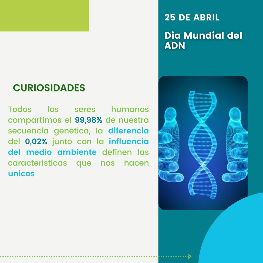 seicsunse_'s tweet photo. 25 DE ABRIL
DÍA MUNDIAL DEL ADN

El ADN 🧬es un ácido nucleico que contiene toda la información genética hereditaria de los seres vivos. Se encuentra en el núcleo de las células. 

Parte 2

#SEICSUNSE #ciencia #adn #25deabril #diadeladn #scientist #science #DNADay2022 https://t.co/q5XdqUlbOv