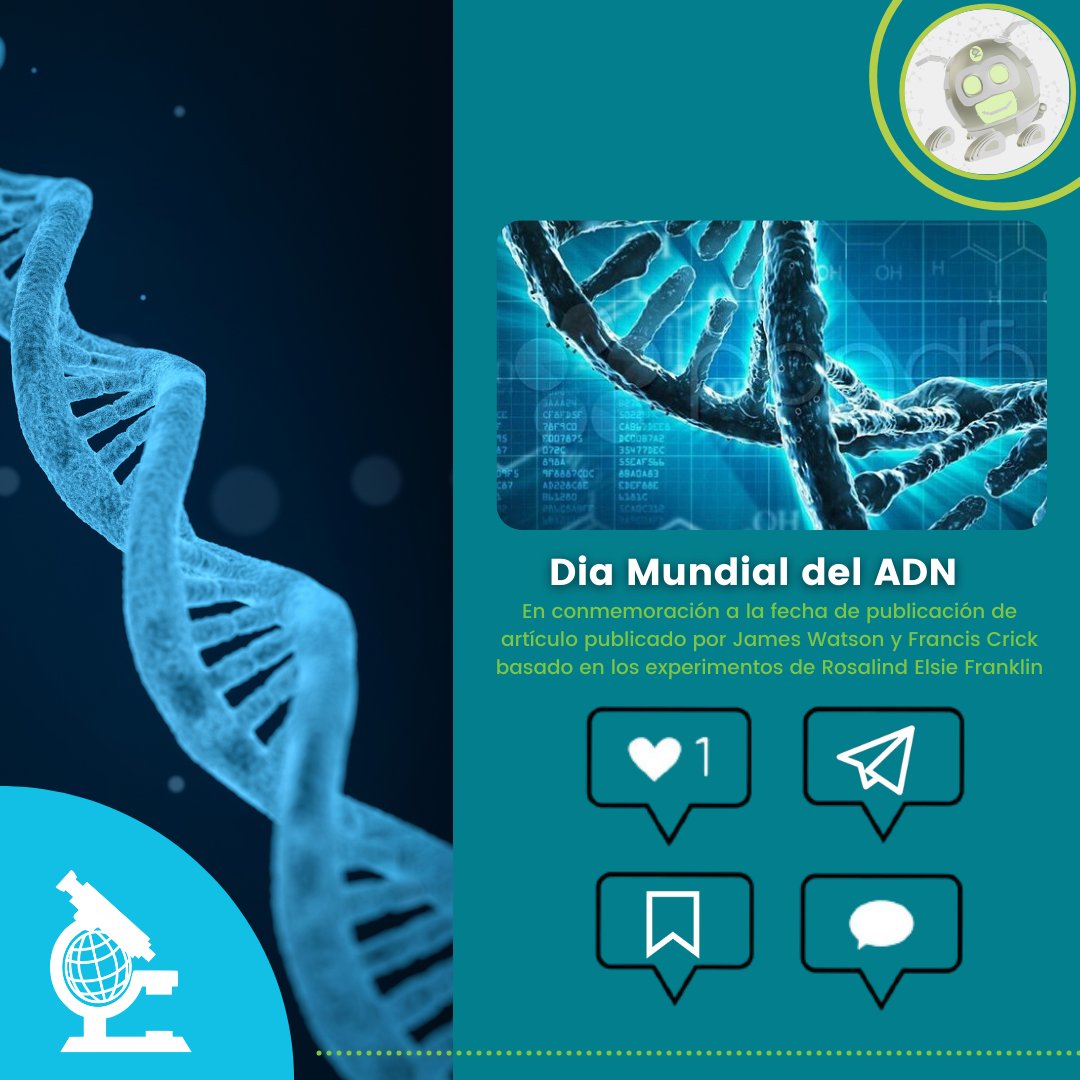 seicsunse_'s tweet photo. 25 DE ABRIL
DÍA MUNDIAL DEL ADN

El ADN 🧬es un ácido nucleico que contiene toda la información genética hereditaria de los seres vivos. Se encuentra en el núcleo de las células. 

Parte 2

#SEICSUNSE #ciencia #adn #25deabril #diadeladn #scientist #science #DNADay2022 https://t.co/q5XdqUlbOv