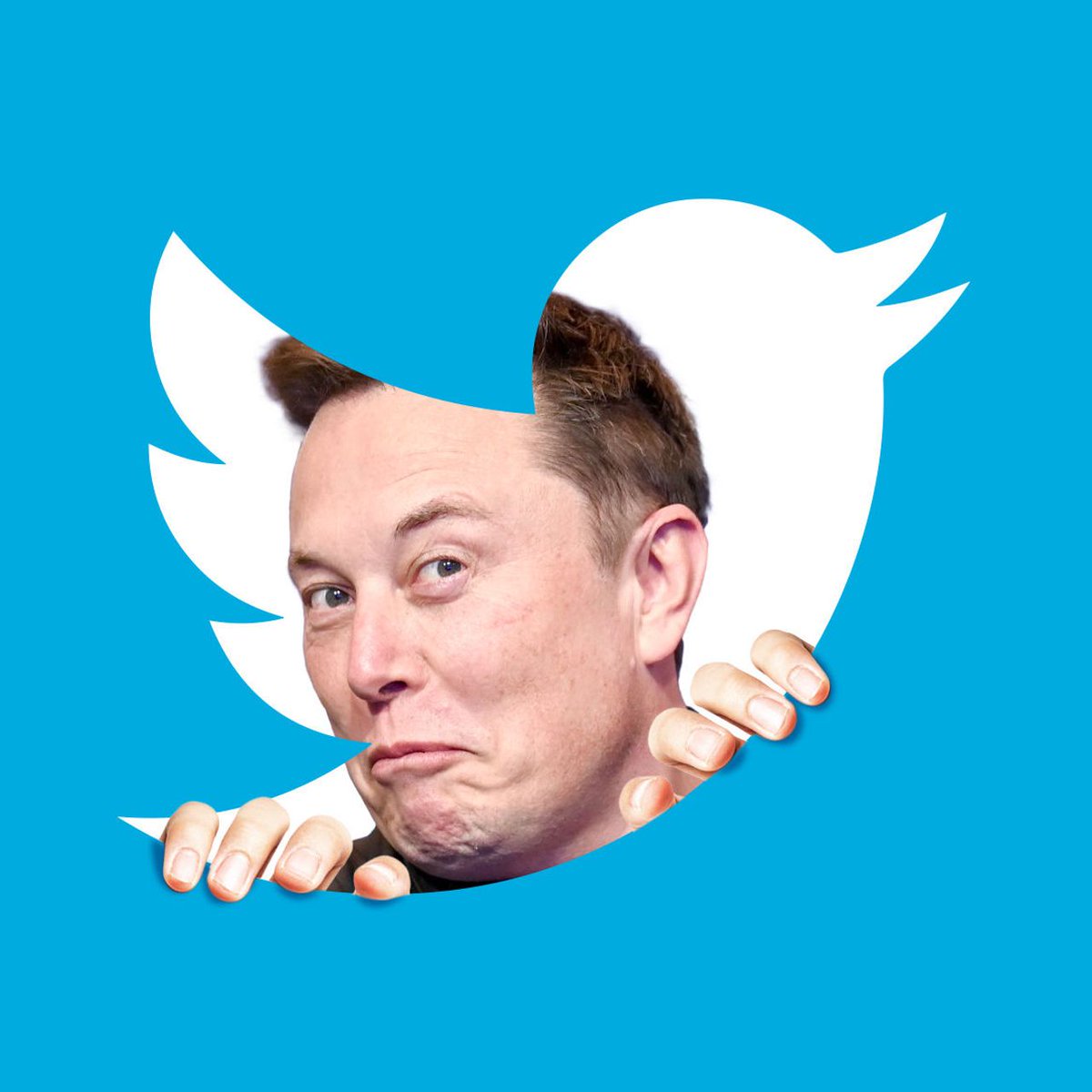 CryptoWorldddd's tweet photo. BREAKING: Elon Musk will officially acquire Twitter for $44 billion, sources say the deal will be announced by the end of today. https://t.co/bAGFin5D9s