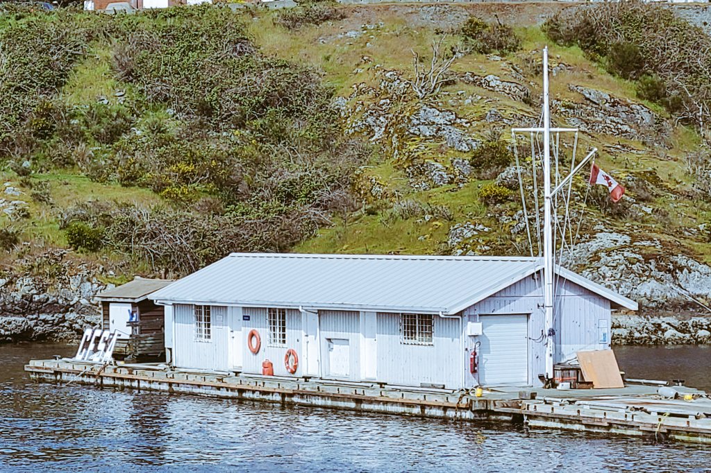 Only 4 days to go! It really is starting to look like a marina! Keep the efforts going, we are almost there! Can't say enough about all those that continue to support this endeavour!! <a href="/CFBBFCEsquimalt/">CFB BFC Esquimalt</a> <a href="/AngusTopshee/">Kraken 38</a> #volunteer