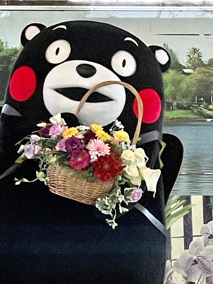 kumamotomonkuma's tweet photo. @55_kumamon おはくま〜☁
#くまモン
#熊本熊
#kumamon
#くまもと花とみどりの博覧会
#熊本花博
#花博
#flowerfestivals https://t.co/kOU1XPKzNh