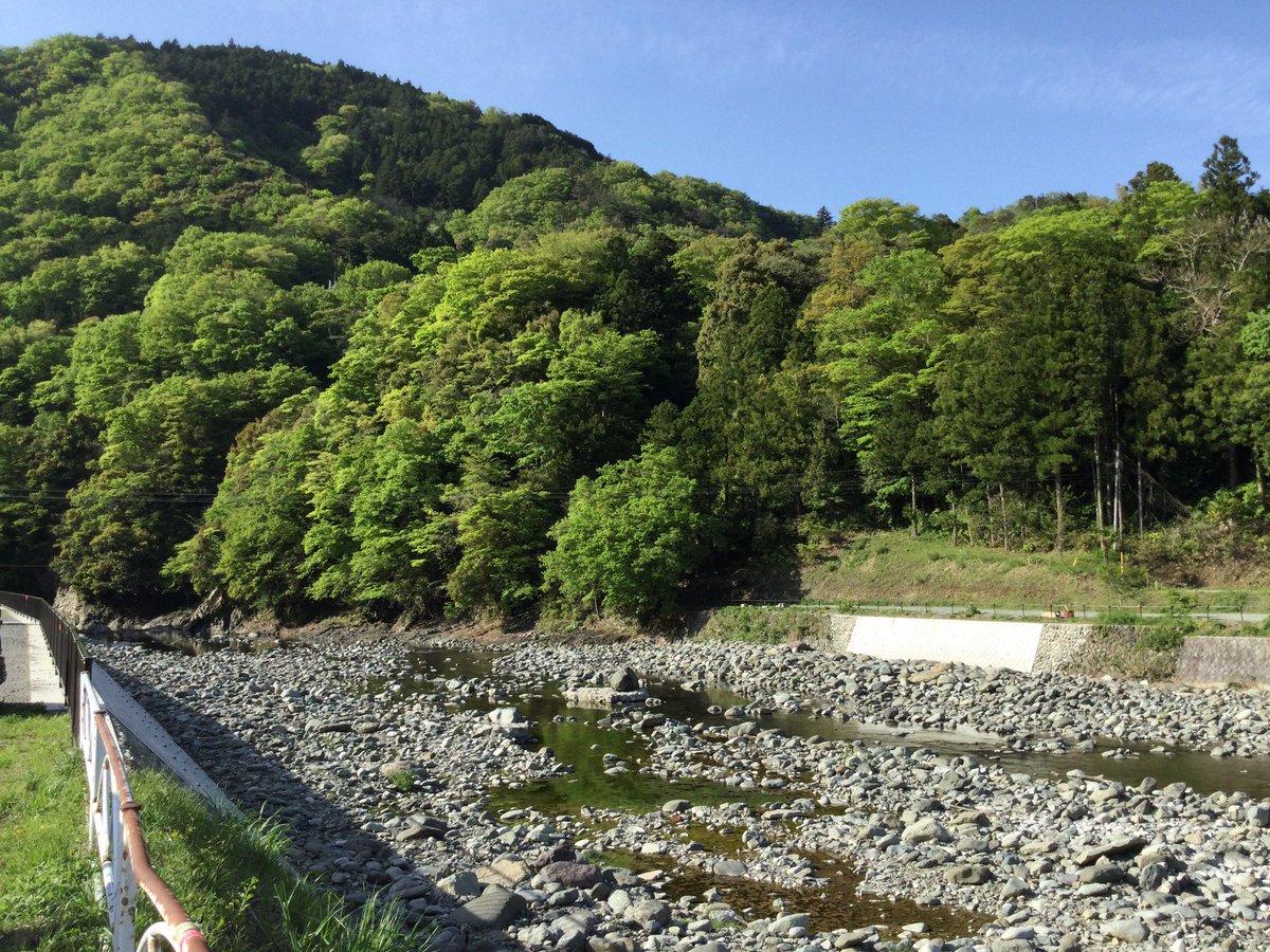 dangaizeppekide's tweet photo. おはよーございます☀️
しっかり余裕をもって乗車きすよ🚂
さて朝から通勤でゲンナリなアナタに #相模原市 にある #青根緑の休暇村 の写メで癒され〜🖼😳
#APtrikes125 #aliveprus #トゥクトゥク https://t.co/LzdH4RIkmP
