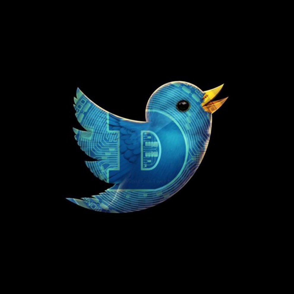 Sam The Cat 😺 𝕏Đ tweet media