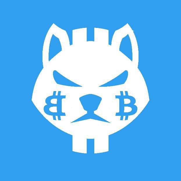 Shiba tweet media