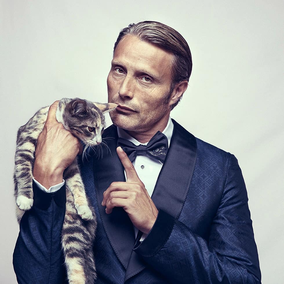 asteticpatetic's tweet photo. mads mikkelsen as cats; a thread🐈 https://t.co/ND1qGAQMCu