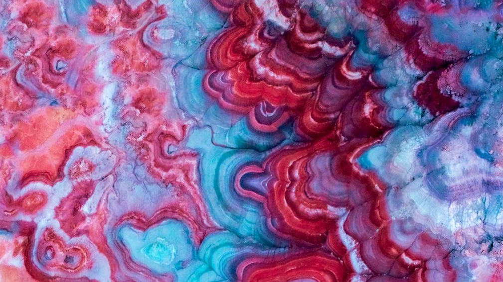 Rachel Suzanne Tien Wood tweet media