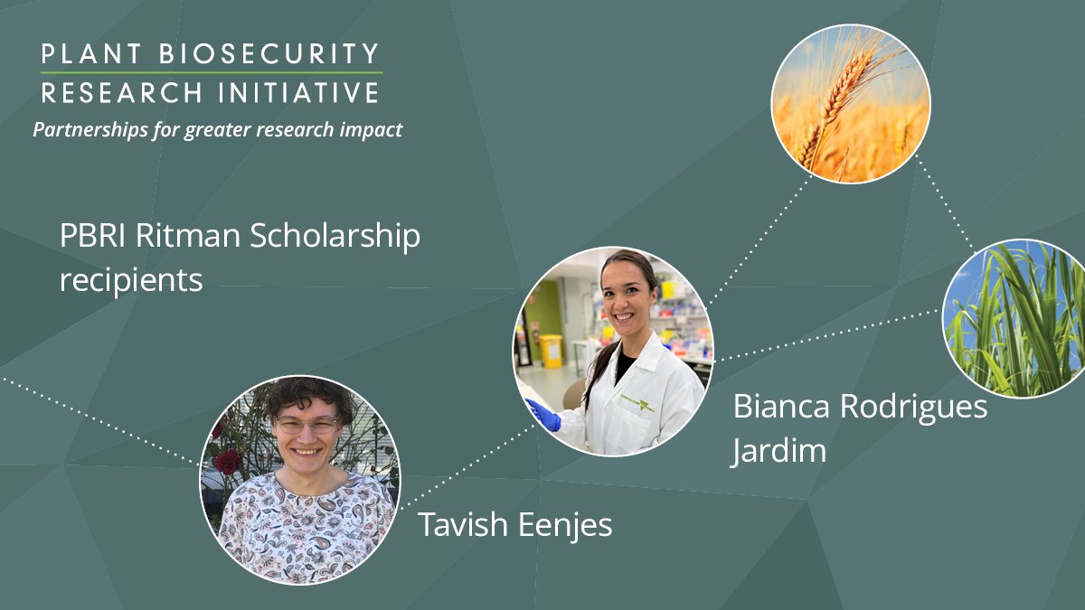On 12 May #InternationalDayOfPlantHealth we will meet  #RitmanScholarship recipients Tavish Eenjes and Bianca Rodrigues Jardim #PBRISymposium bit.ly/3oViUcK <a href="/planthealthaust/">Plant Health Aust</a> <a href="/Hort_Au/">Hort Innovation</a> <a href="/CottonResearch/">CRDC</a> <a href="/AgriFuturesAU/">AgriFutures Australia</a> @DeptAgNews <a href="/theGRDC/">GRDC</a> <a href="/sugarresearch/">sugarresearch</a> <a href="/wine_australia/">Wine Australia</a>