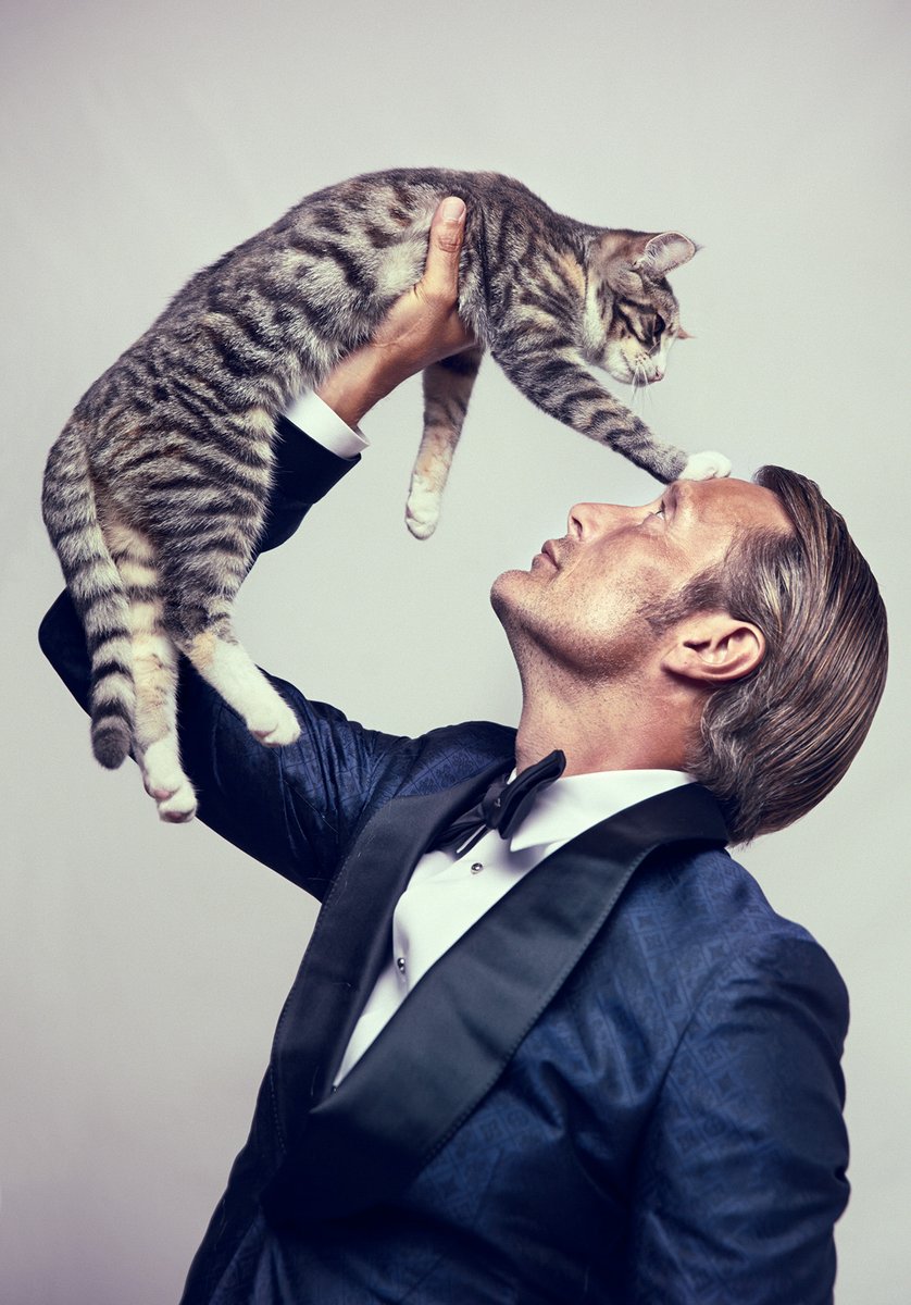 asteticpatetic's tweet photo. mads mikkelsen as cats; a thread🐈 https://t.co/ND1qGAQMCu