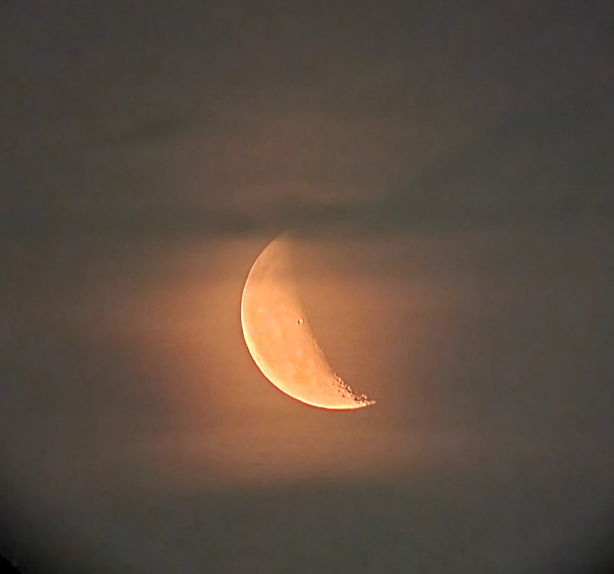 tornikecode's tweet image. Peaceful af