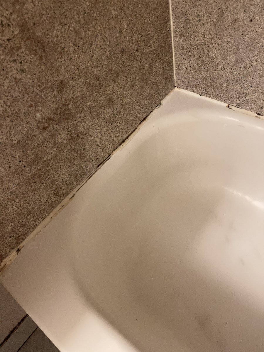 SmokeyBankz's tweet photo. @WyndhamHotels @WyndhamRewards @LucyWyndhamRead @daysinn @daysinn I’ve called customer service several times with now response. Would you want to stay in a hotel like this Daysinn/Wyndham. This is in Harrisburg,VA https://t.co/UuBTTzcXcy