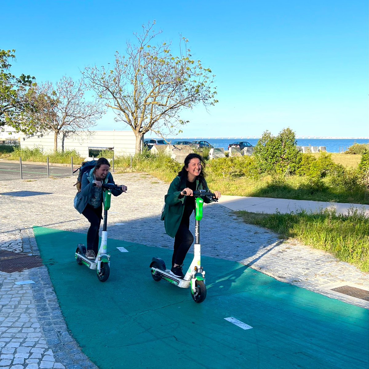 AKWoischnig's tweet photo. After an @ECCMID day, it's sightseeing time... the Staph "Lime" gang explores Lisbon in many ways! A wonderful end to a fascinating day! https://t.co/3hYWs7u5vM