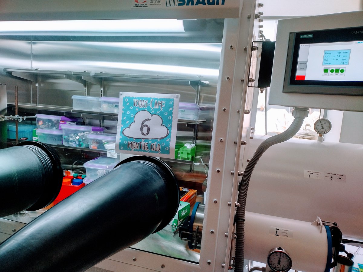 Today our baby Boxanne turns #6months old 💛.
She's feeding regularly and only cries occasionally