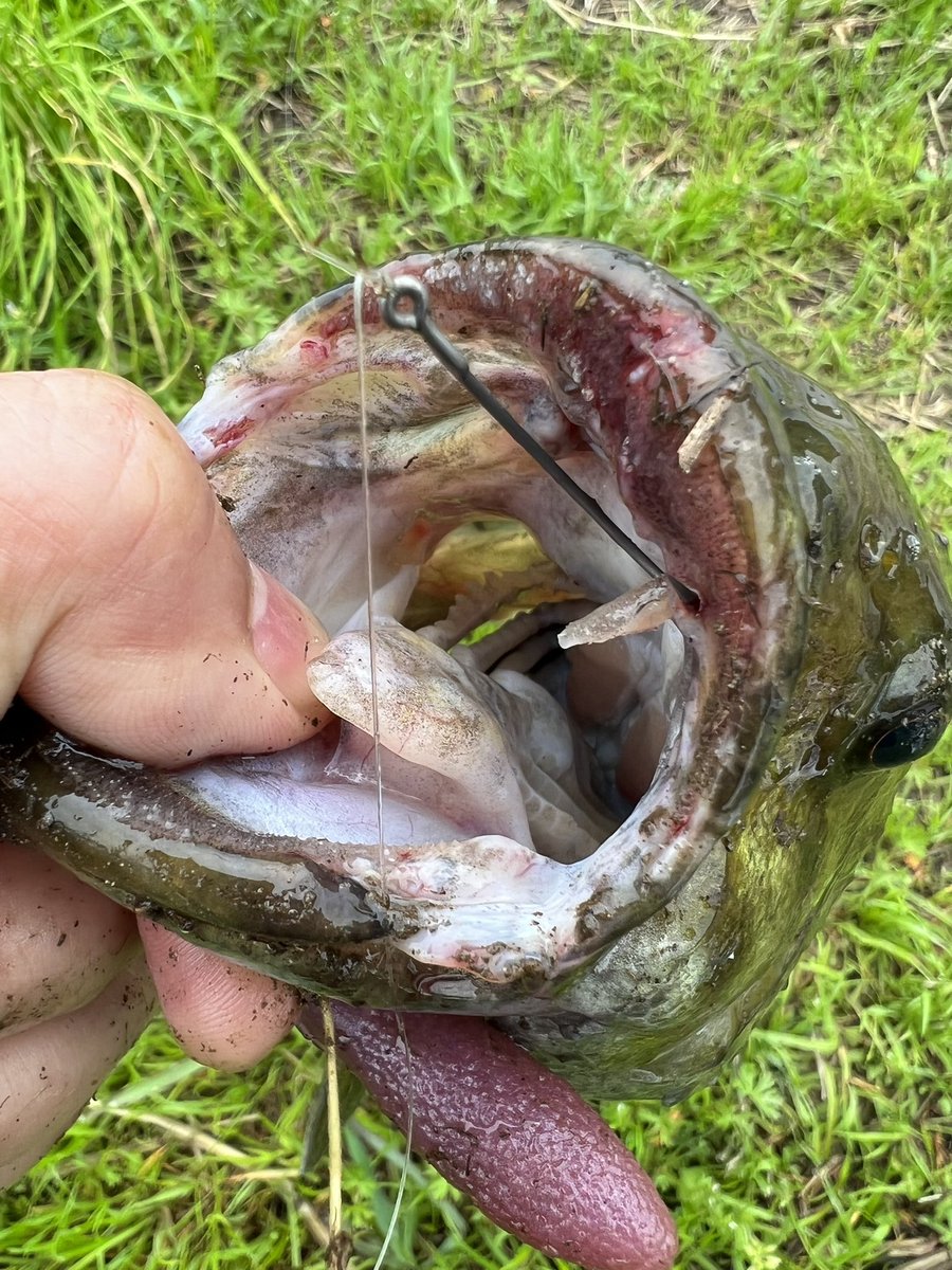 カバースキャット2.5
イモで良いでしょ。言うほど釣れないし。売ってないし。形がアレだし。
…そう思ってました🤦🏻‍♂️

ごめんなさい奧村さん🥺
使い方分かってませんでした。