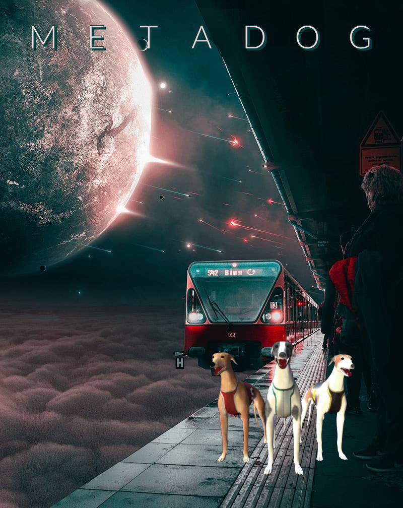 All aboard the MetaDog Express … Next stop the Andromeda galaxy 🚀

TG: t.me/MetaRaceWorld

Get your DOG$ and join the Race!! 

I’m super bullish on this one 🔥

Check it out for yourselves ❣️

#Metaverse #dog #bsc #bnb #btc #P2E #GameFi‌ #crypto