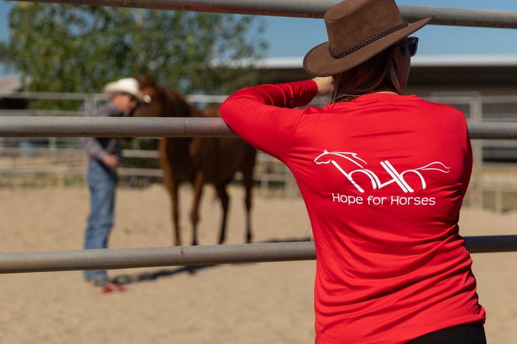 bigdayofgiving's tweet photo. Happy Monday! Let's jump into #MeetBDOG with @hopeforhorsesca. https://t.co/Pq7u6t4SsS