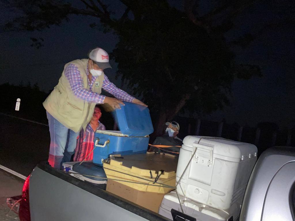 CONAPgt's tweet photo. Durante jornadas diurnas y nocturnas personal de #VidaSilvestre del #CONAPSuroriente y agentes de #DIPRONA #PNC realizan recorridos rutinarios con el objetivo principal de contrarrestar el #TráficoIlegal #Flora y #FaunaSilvestre dentro y fuera de #ÁreasProtegidas. https://t.co/WGN6Nkx5F6