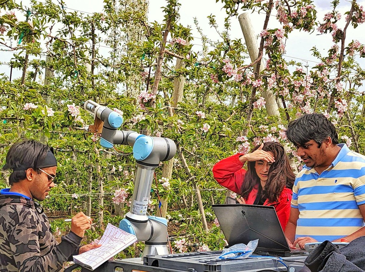 Cynthia Puga, a <a href="/KNDUKNDO/">KNDU KNDO NonStop Local News</a> #NBCRightNow reporter, curiously observes how #AI works helping robot thin flowers, while WSU #AgRobotics researchers @uddhav_bhattrai and Ranjan Sapkota record robot's performance..