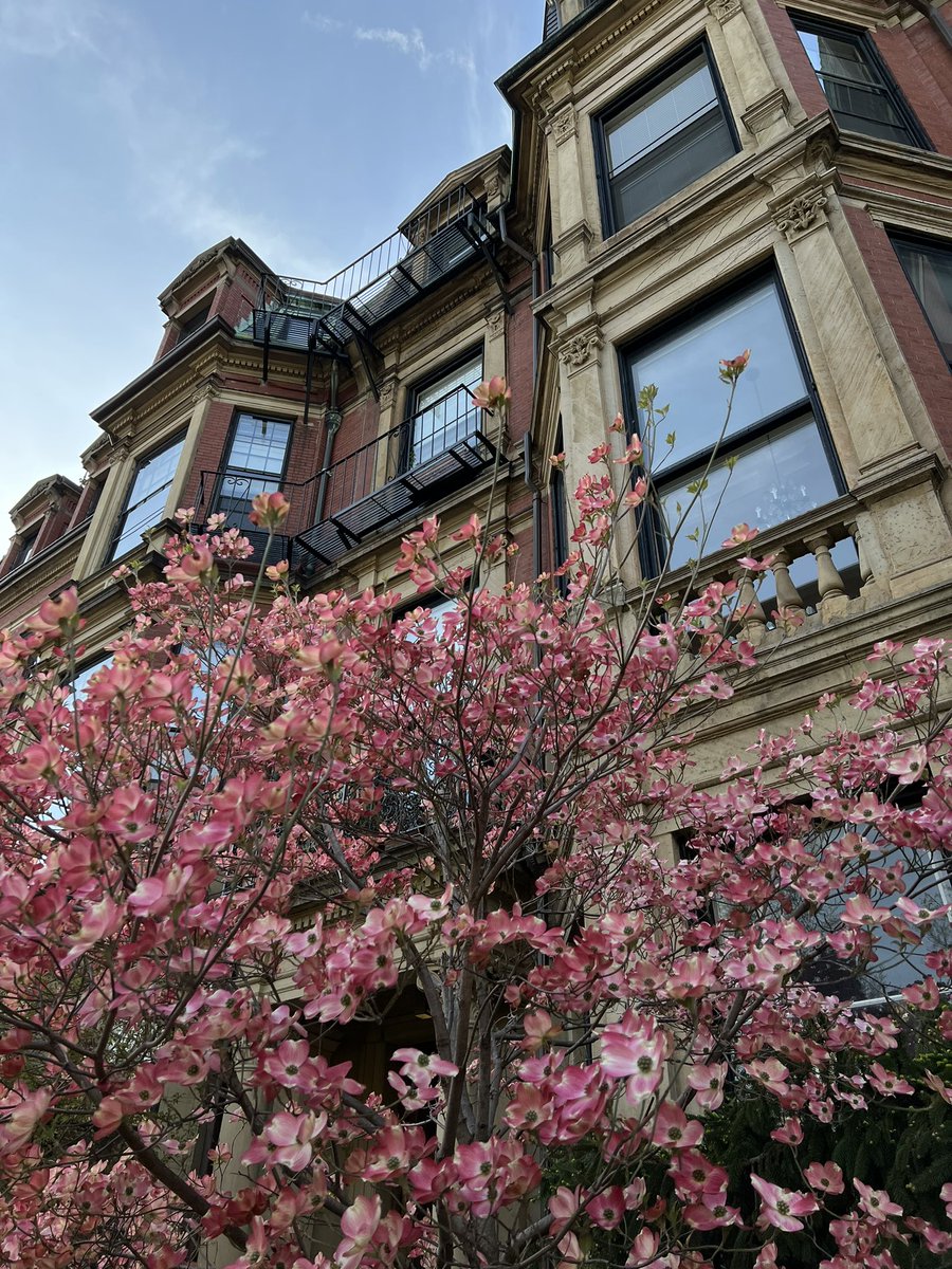Boston #spring