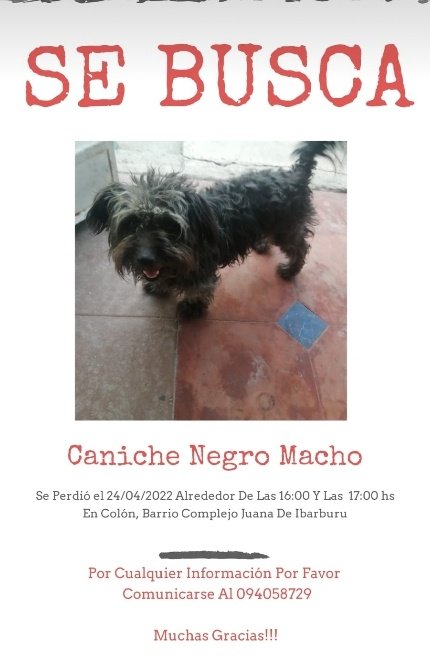 Dan una mano a ver si aparece
