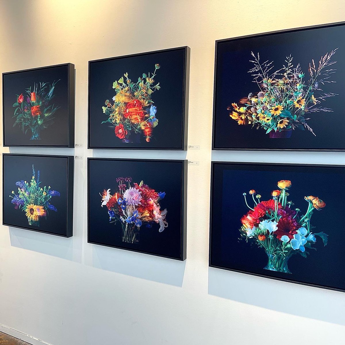 Will Roger tweet media