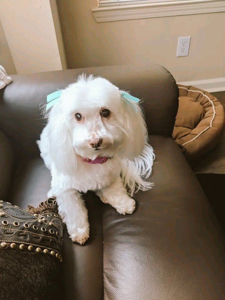 Looking warm on summer MOIE ❣️