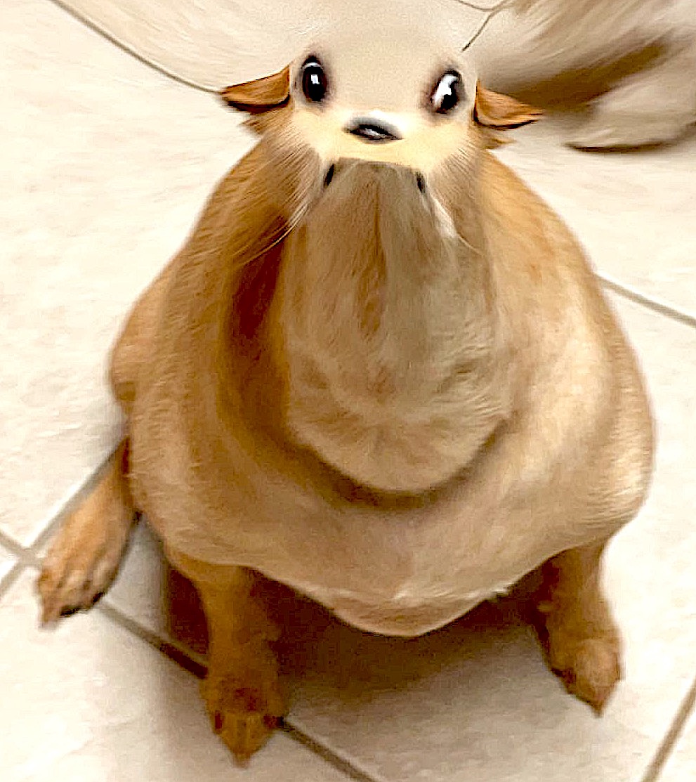 persesussimon's tweet image. when mondays be like..