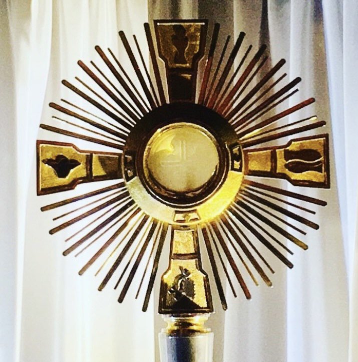 "Receive Communion often, very often...there you have the sole remedy, if you want to be cured. Jesus has not put this attraction in your heart for nothing."~ St. Therese #Jesus #Catholics