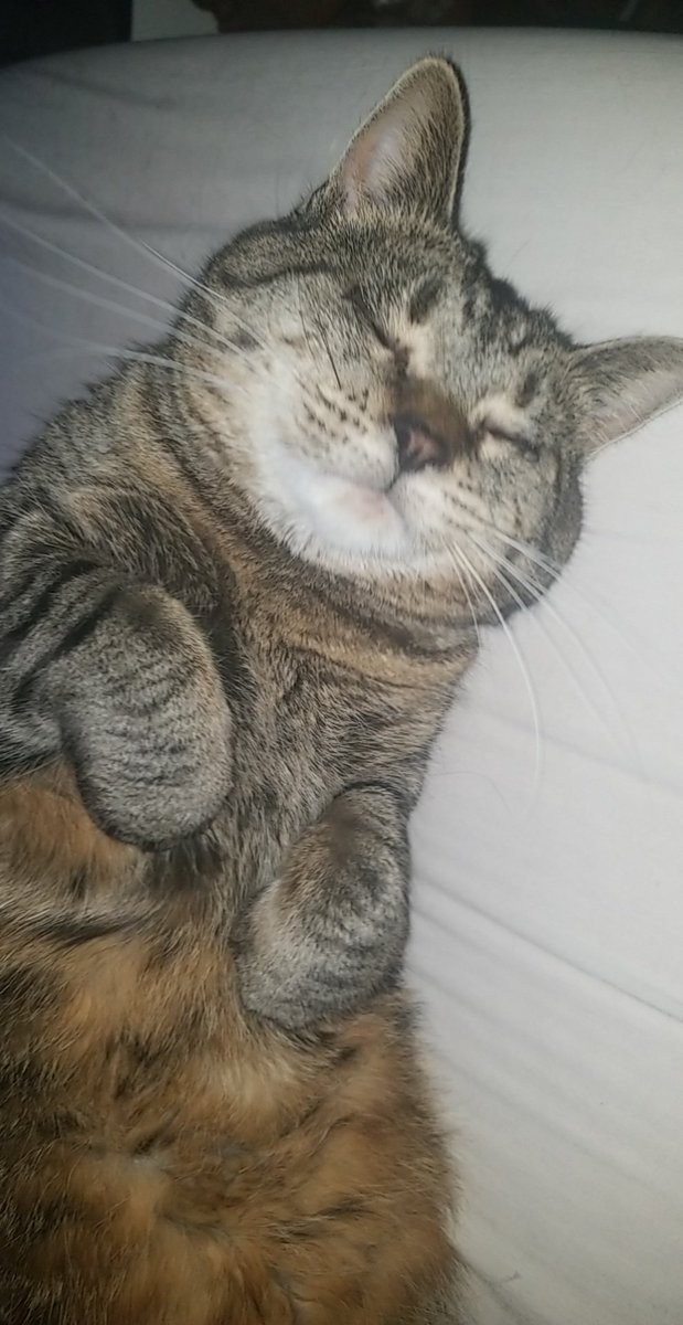 CHlJOKU's tweet image. ᅠᅠ
ᅠ
ᅠ

                             //

                                     fuck #munday its #makachewymonday

   Take my cat 
ᅠ
ᅠ
ᅠ