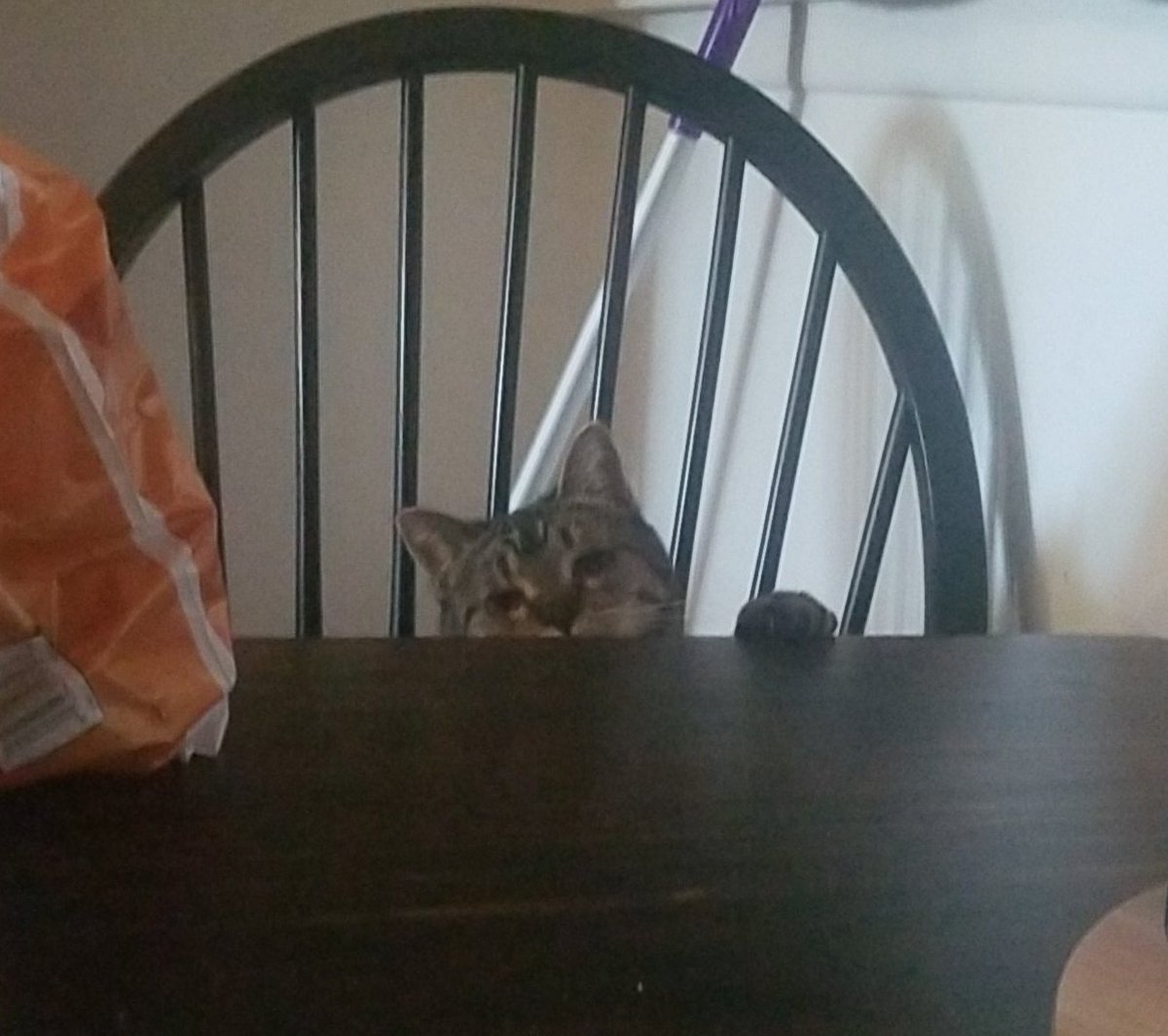 CHlJOKU's tweet image. ᅠᅠ
ᅠ
ᅠ

                             //

                                     fuck #munday its #makachewymonday

   Take my cat 
ᅠ
ᅠ
ᅠ