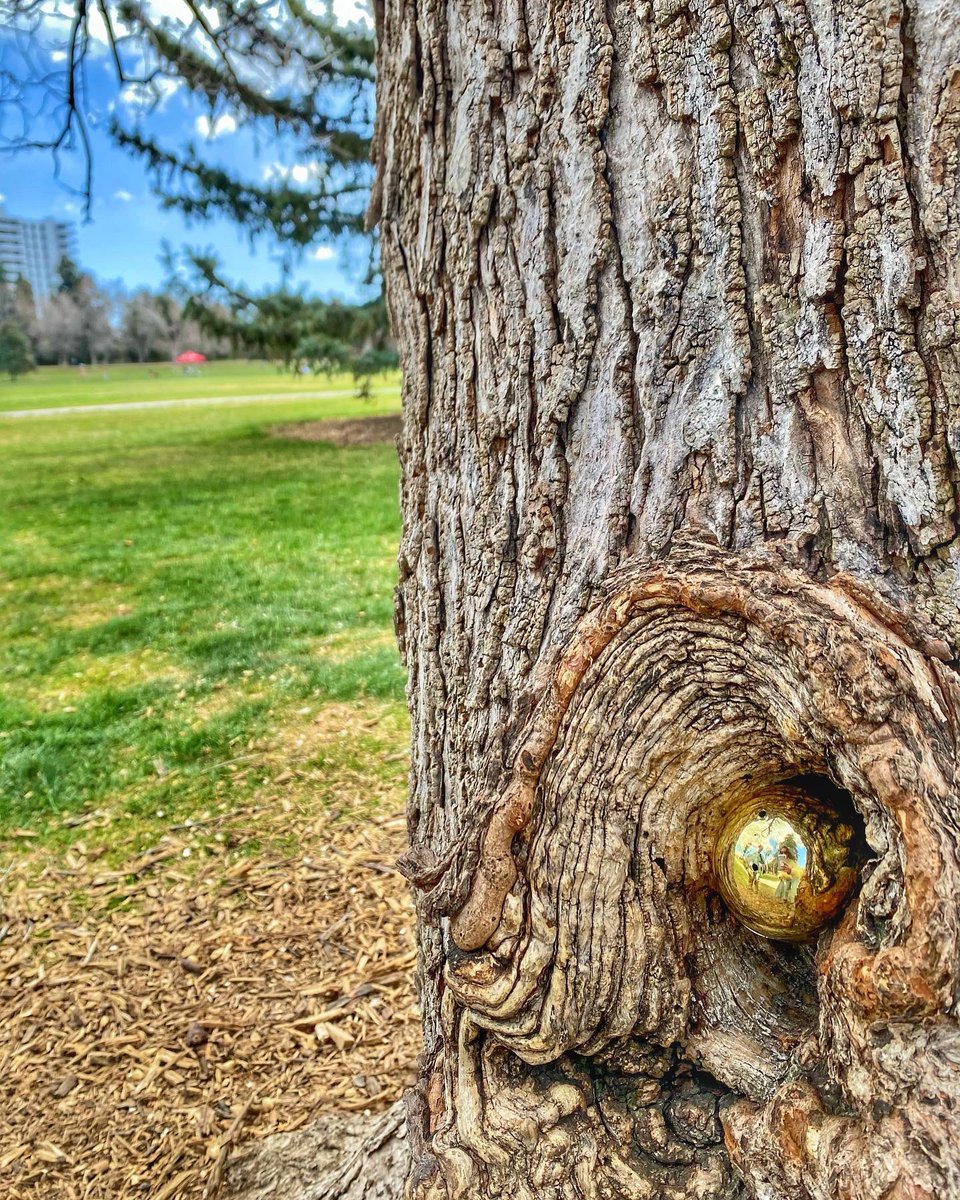 ConnectingRoads's tweet photo. We hid 50 golden eggs in our favorite Denver park last week with a secret clue that lead hunters to our destination ๐ฐ
#connectingroads
#egghunt
#web3
#scavengerhunt
#nft
#nftexperiences
#tothemoon
#neverstopexploring https://t.co/D0Pm0yCIhZ