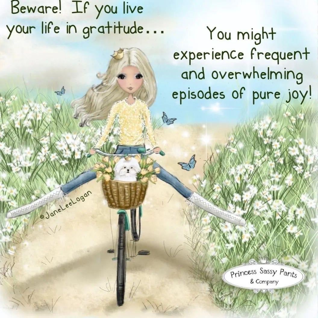 ManOnTheBikeVi1's tweet photo. #beware #grattude #purejoy #PrincessSassyPantsandCompany
#manonthebike https://t.co/4qkDmTgyaj