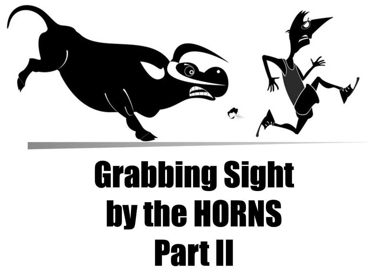 This wednesday 4/27. Part 1 recording available. Visit: transinterpreting.com/grabbing-sight…