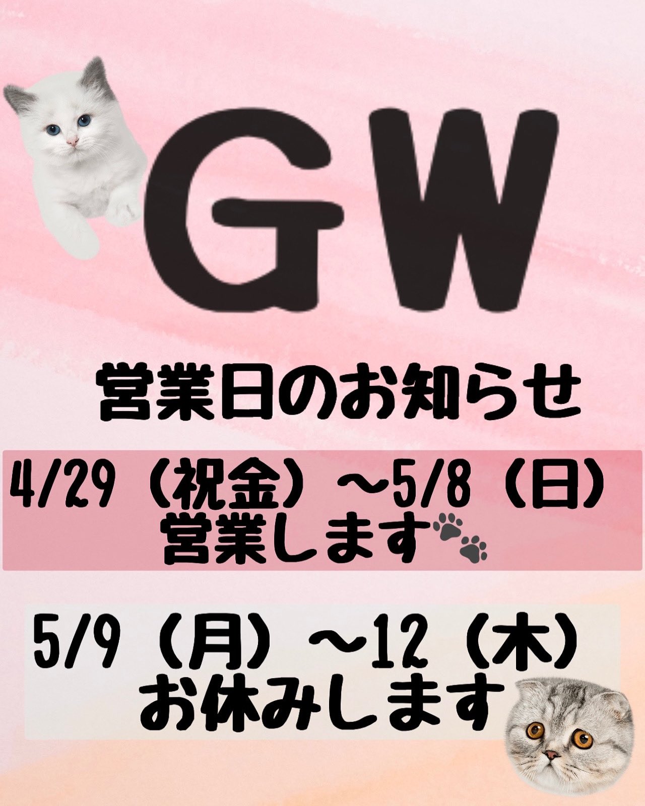 Cafeとねこ雑貨 猫かっとん Cafe Nekocatton Twitter