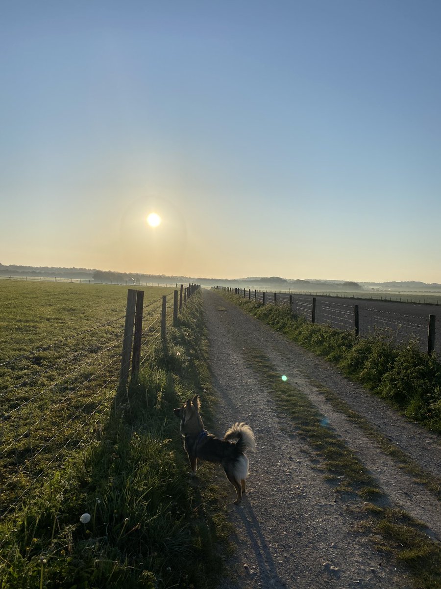 Trea Murphy 🌷 tweet media