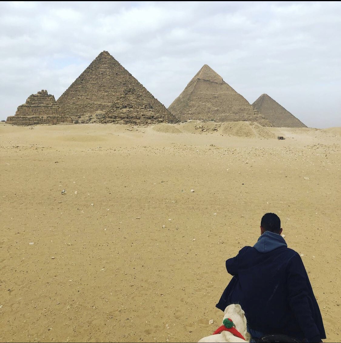 DailyGripeMemes's tweet photo. Throwback to Visiting the Great Pyramids #Egypt #Cairo #TheGreatPyramids #TheSphinx #TheGreatPyramidOfGiza #ThePyramids #BalconyWithAView https://t.co/73ki003wij