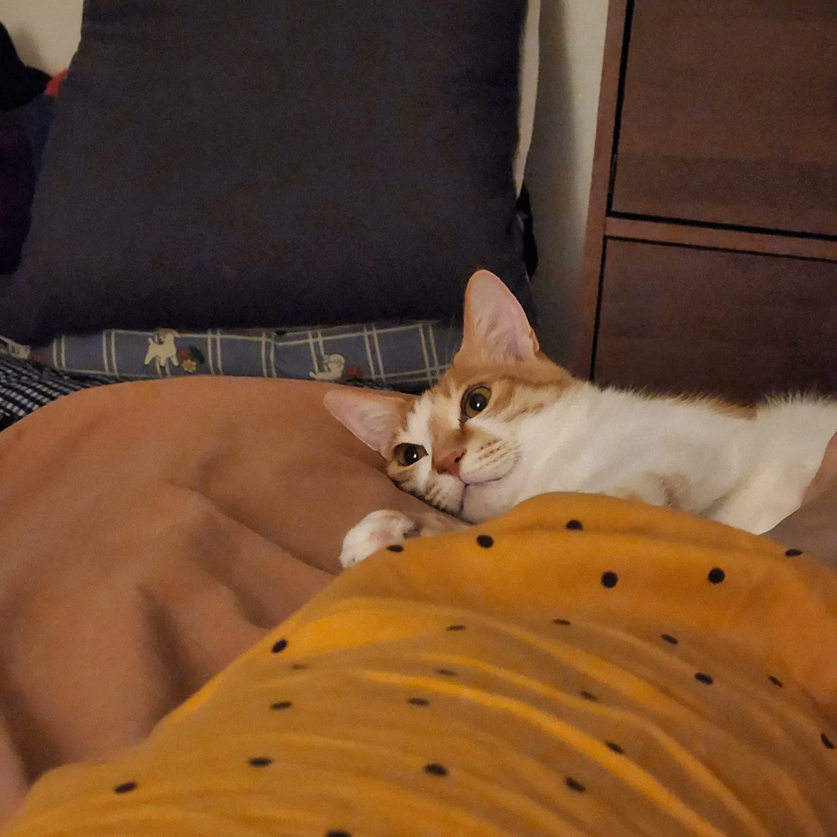 말랑말랑
뜨끈뜨끈🤤