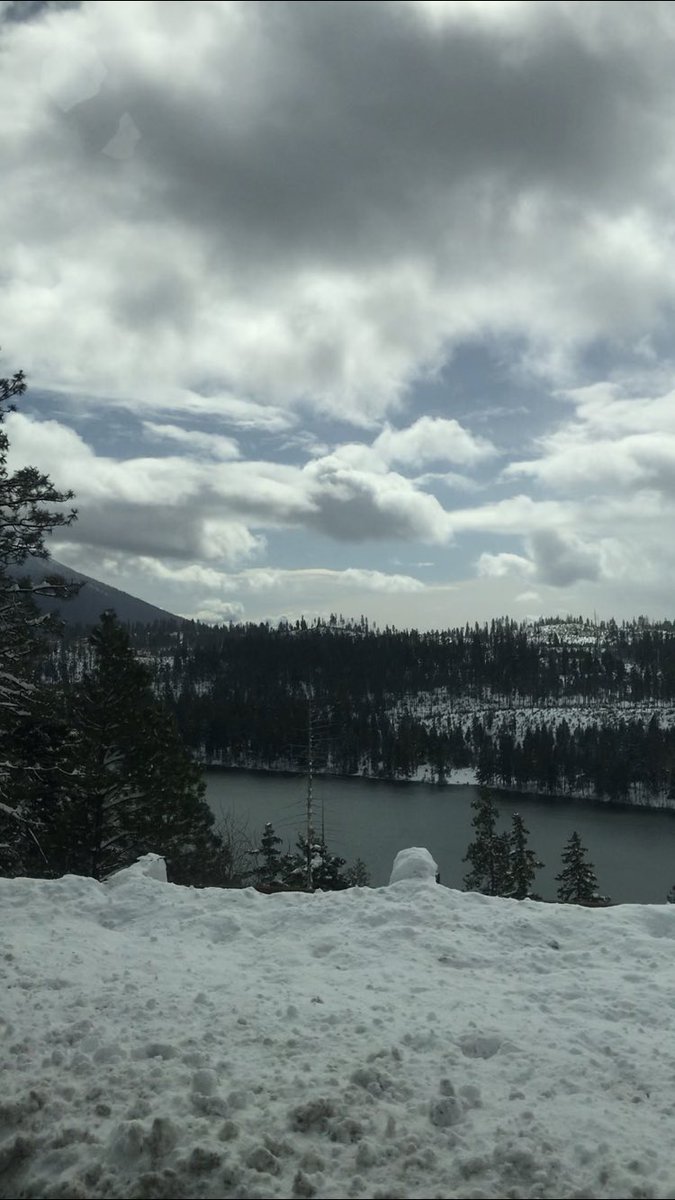 CedwardsTw's tweet photo. Casi pierdo un dedo por el frío de esta foto 🥶😶‍🌫️ #Snowfall https://t.co/fDTqI0QGz7