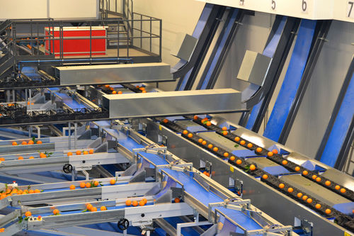 Market_Reports's tweet image. The world’s market for #SortingMachines is forecast to grow at a CAGR of 5.9% in the next 7 years. The optical product segment is anticipated to maintain the leading share of the overall #sorting #machines market during 2022-2028: bit.ly/3mtkm5E 
#automation