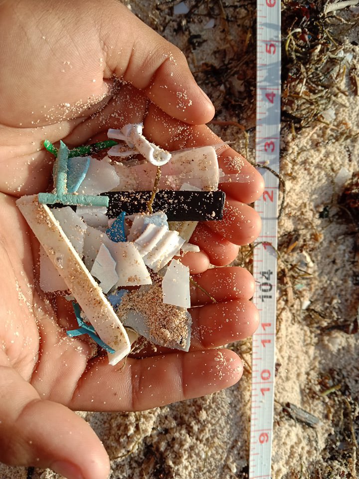 TorreyGorra's tweet photo. A few garbage collages from the clean-up. Would be cool to create art with some of the things we find each week. Any ideas? https://t.co/U7uzucOCTY
