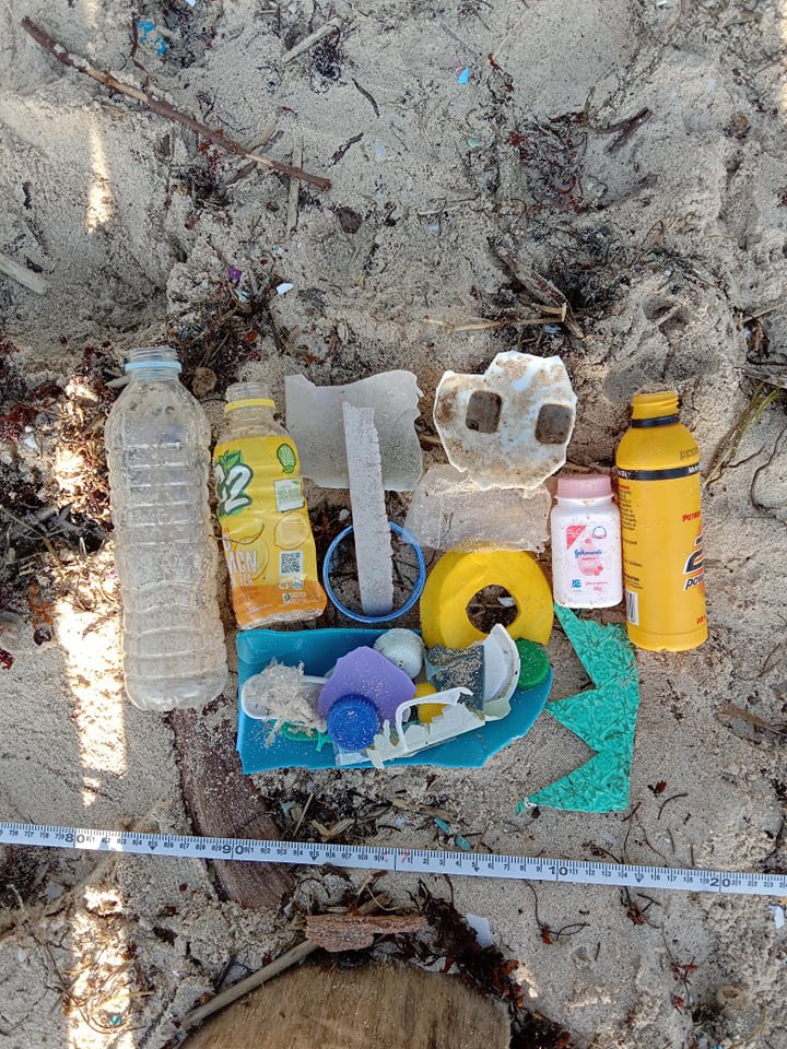 TorreyGorra's tweet photo. A few garbage collages from the clean-up. Would be cool to create art with some of the things we find each week. Any ideas? https://t.co/U7uzucOCTY