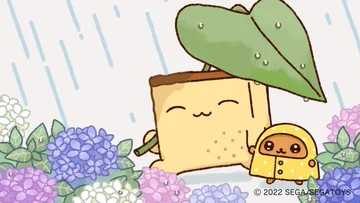 画像 / Picture