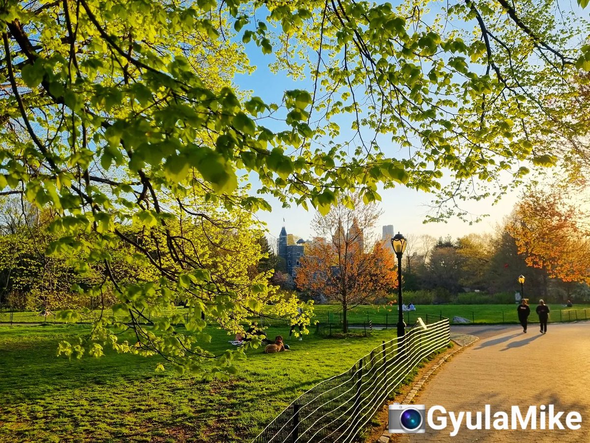 MikeGyula's tweet image. Spring is here.
Central Park, yesterday afternoon.
#centralpark #mikeinnewyork #manhattanviews #spring #bigapple