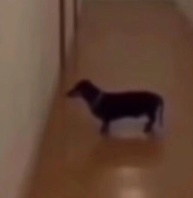 || muse for Mirage is slowly coming back