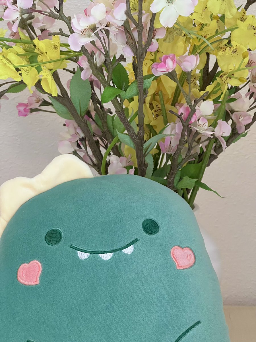 MinamalsAmerica's tweet image. Say hello to Lucas! He&apos;s such a little cutie. #plushie #CuteAnimals #newplush #Minamals